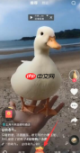 抖音极速版邀请码 抖音极速版邀请码分享