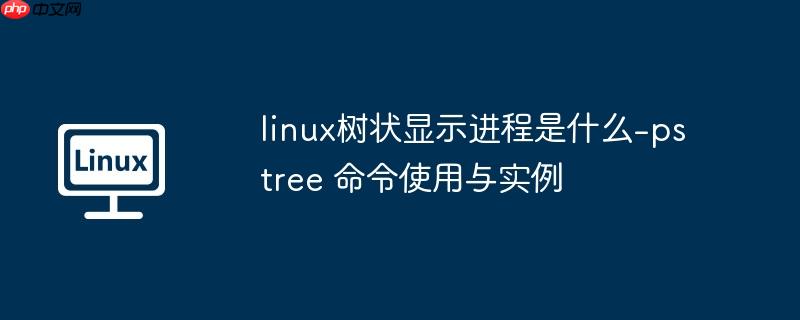 linux树状显示进程是什么-pstree 命令使用与实例