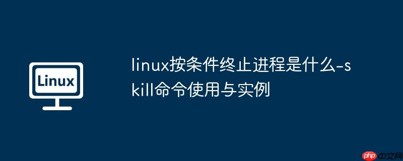linux终止进程命令 ctrl linux终止进程命令带什么参数
