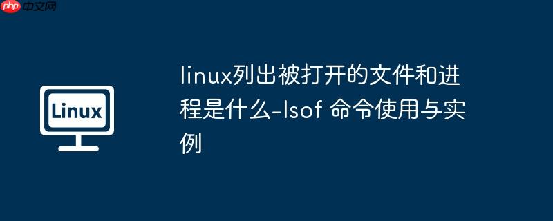 linux列出被打开的文件和进程是什么-lsof 命令使用与实例