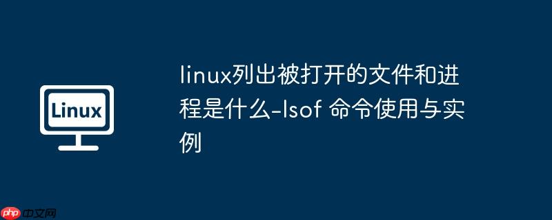 Linux列出目录以及子目录 linux列出目录的命令是什么