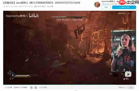 美女主播紫蛛儿《影之刃零》试玩录像公开:大秀操作