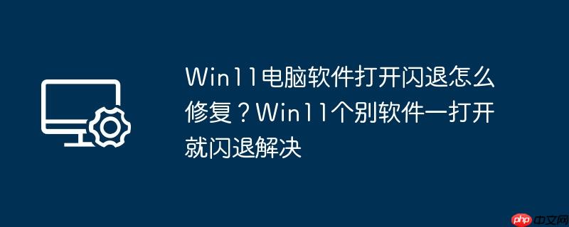 Win11电脑软件打开闪退怎么修复？Win11个别软件一打开就闪退解决
