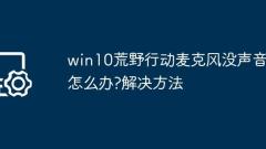 Win10 Wildernessアクションマイクに音がない場合はどうすればよいですか? Win10 Wildernessアクションマイクで音のない音の問題を解決する方法Win10 WildernessアクションマイクWin10 Wildernessアクションマイク