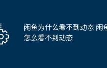 闲鱼为什么看不到动态 闲鱼怎么看不到动态