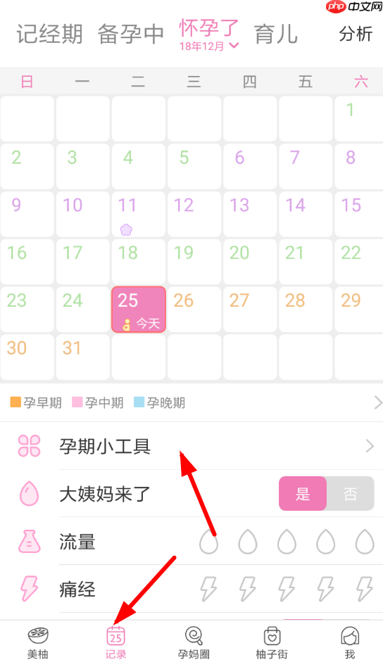 美柚怎么测试男女 美柚怀孕测试男女流程详解
