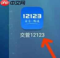交管123123违章车辆查询 交管12123查询车辆违章方法