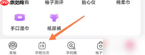 美柚如何设置孕期 美柚记录孕期日历教程
