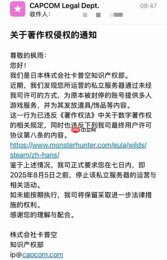 因给《怪物猎人:荒野》封号玩家提供联机 高玩被卡普空警告