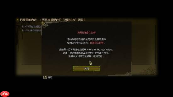 因给《怪物猎人:荒野》封号玩家提供联机 高玩被卡普空警告