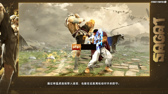 《街霸6》沙加特官方角色指南!泰拳强者恐怖如斯!