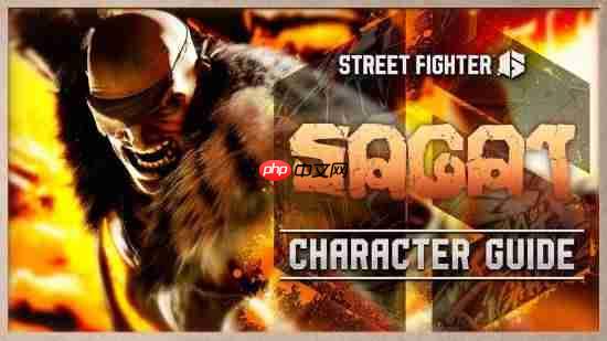 《街霸6》沙加特官方角色指南!泰拳强者恐怖如斯!