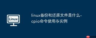 linux备份和还原文件是什么-cpio命令使用与实例