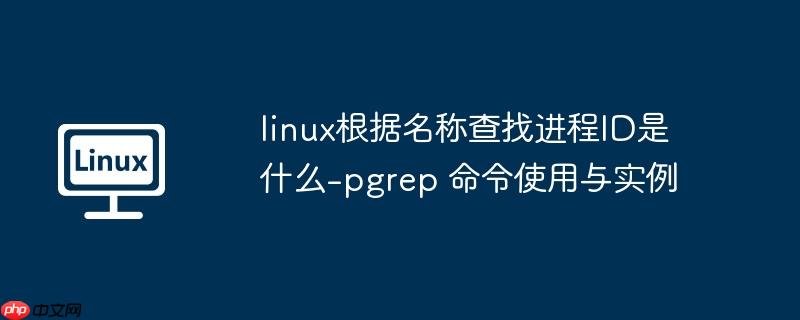 linux根据名称查找进程ID是什么-pgrep 命令使用与实例