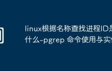 linux根据名称查找进程ID是什么-pgrep 命令使用与实例