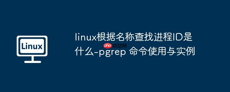linux根据名称查找进程ID是什么-pgrep 命令使用与实例-小浪学习网