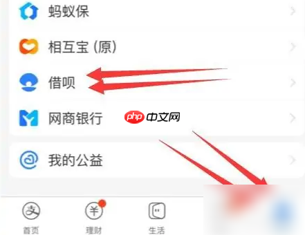 蚂蚁借呗怎么取消借款 蚂蚁借呗借款记录删除方法