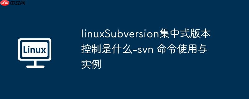 linuxSubversion集中式版本控制是什么-svn 命令使用与实例