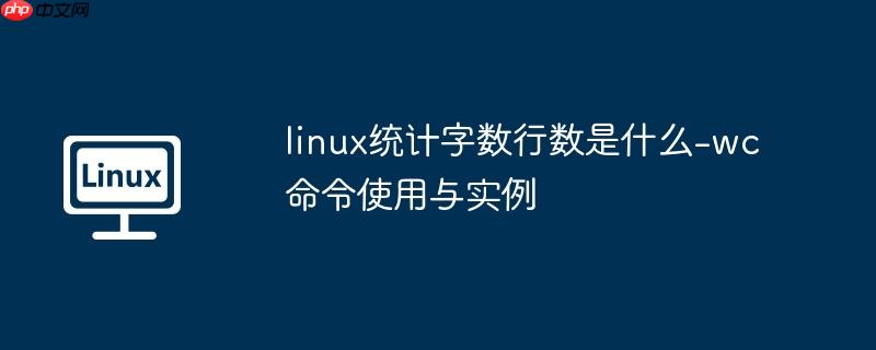 linux统计字数行数是什么-wc命令使用与实例