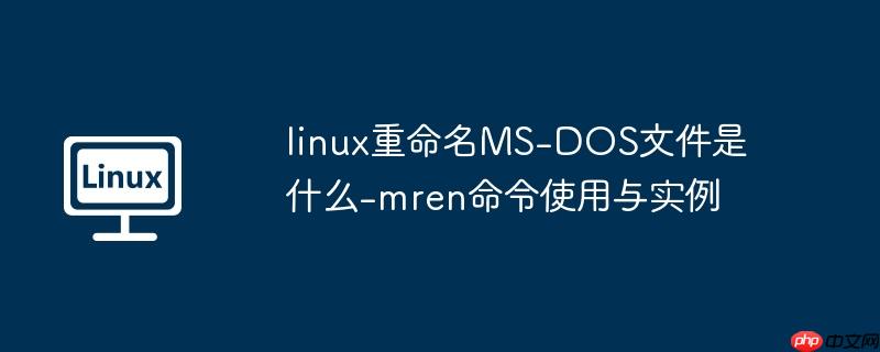 linux重命名ms-dos文件是什么-mren命令使用与实例