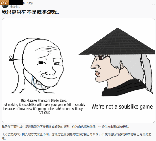 外国玩家盛赞《影之刃零》:很高兴它不是类魂游戏!