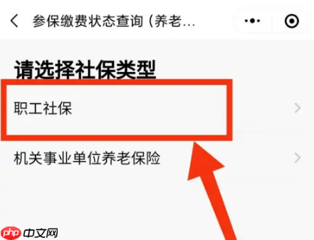 粤省事社保怎么查询交了几年 粤省事查询社保缴费年限教程