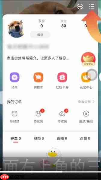 点淘app如何清理缓存 点淘app清理缓存方法介绍