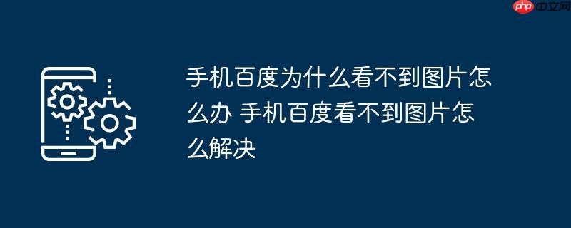 手机百度为什么看不到图片怎么办 手机百度看不到图片怎么解决