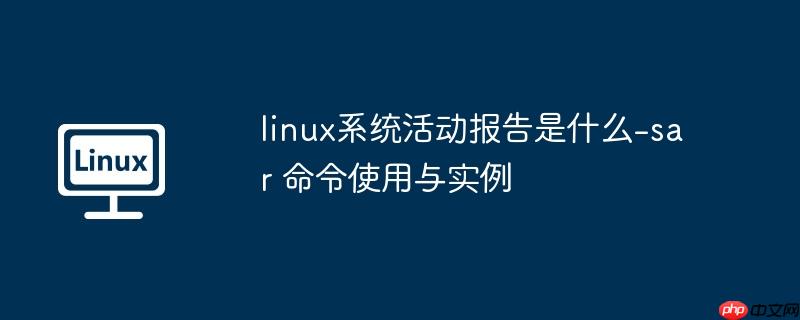 linux系统活动报告是什么-sar 命令使用与实例-小浪学习网