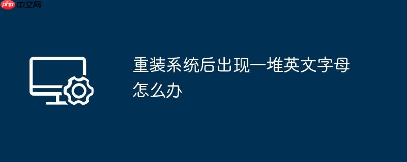 重装系统后出现一堆英文字母怎么办