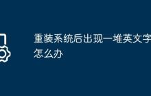 重装系统后出现一堆英文字母怎么办