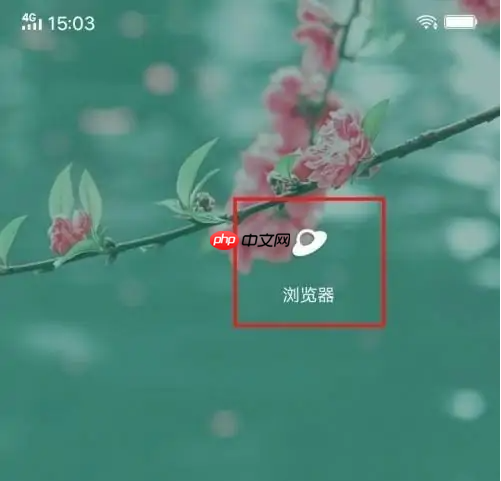 vivo浏览器怎么恢复出厂设置 vivo浏览器还原默认设置方法