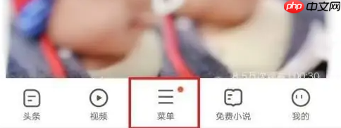 vivo浏览器怎么恢复出厂设置 vivo浏览器还原默认设置方法