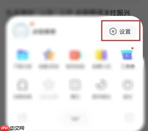 vivo浏览器怎么恢复出厂设置 vivo浏览器还原默认设置方法