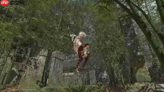 《明末:渊虚之羽》照片模式Mod来了!你想拍任何地方都超清晰