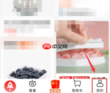 特价淘宝如何投诉商家 淘特app投诉商家方法介绍