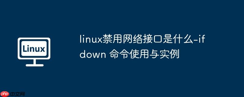 linux禁用网络接口是什么-ifdown 命令使用与实例