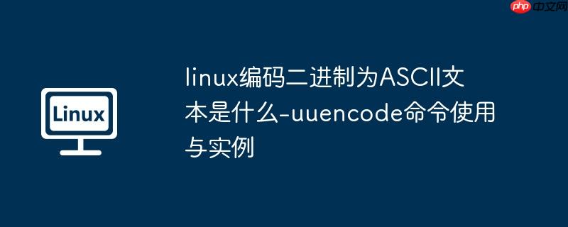 linux中默认的shell是什么 linux默认编码为c字符集