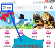 大麦app如何买票 大麦app买票方法介绍