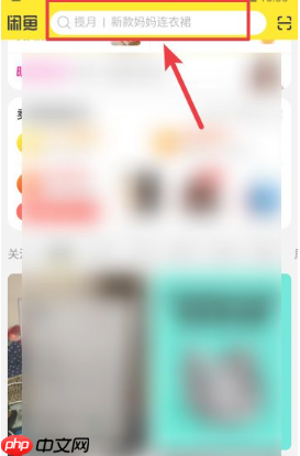 闲鱼app如何搜索用户  闲鱼app怎样搜索用户并关注