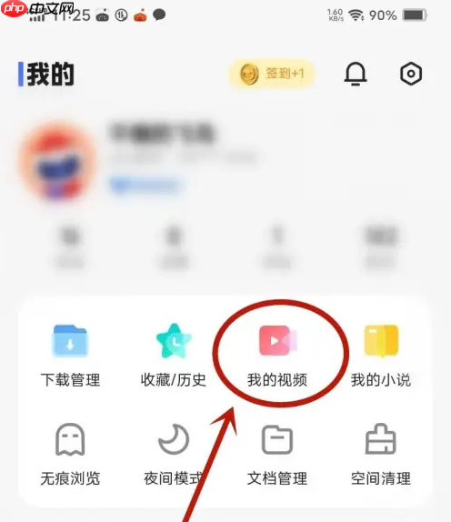 vivo浏览器隐藏视频在哪里 vivo浏览器隐私视频找到方法