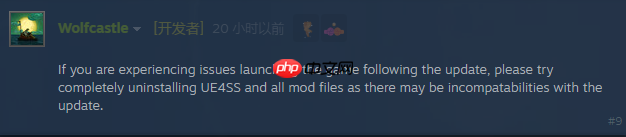 解决方法是删MOD?《剑星》新补丁致部分玩家无法进游戏