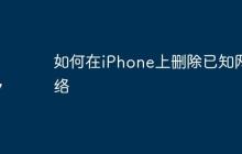 如何在iPhone上删除已知网络