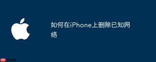 如何在iPhone上删除已知网络