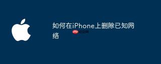 如何在iphone上删除已知网络