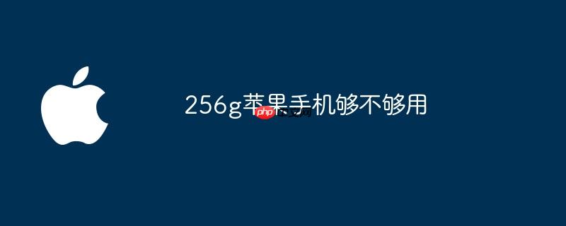 256g苹果手机够不够用