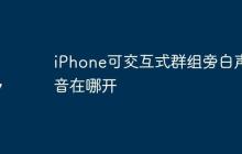 iPhone可交互式群组旁白声音在哪开