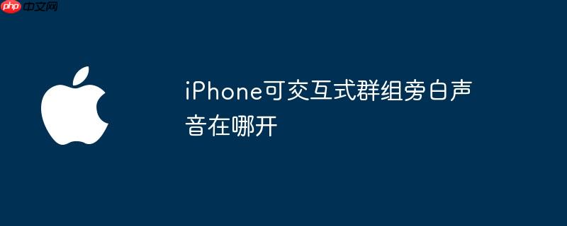 iphone可交互式群组旁白声音在哪开