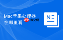 Mac苹果处理器在哪里看