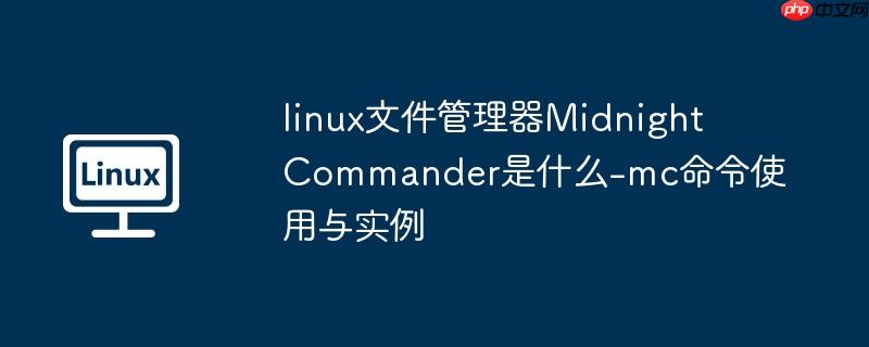 linux 管理器 linux管理器